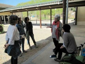 carme explicant
