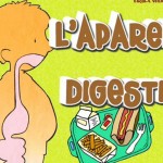 aparell-digestiu-2