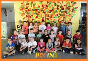 DOFINS