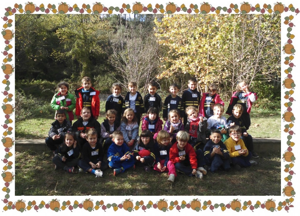 arenes foto grup
