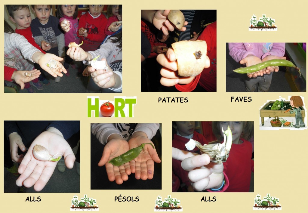 bloc HORT