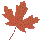 leaf101