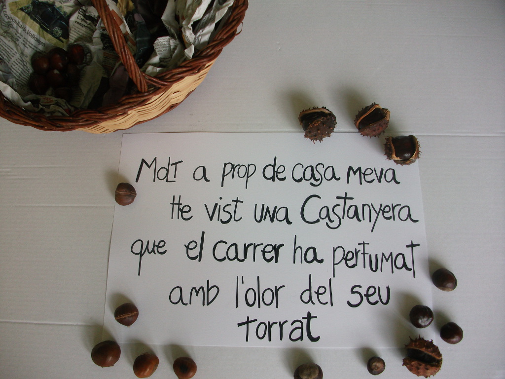 dscf9570poema