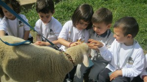 fotos p-3 granja 126