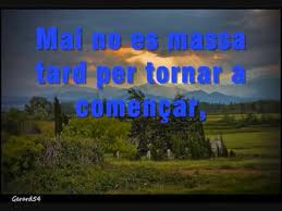 CAMINS