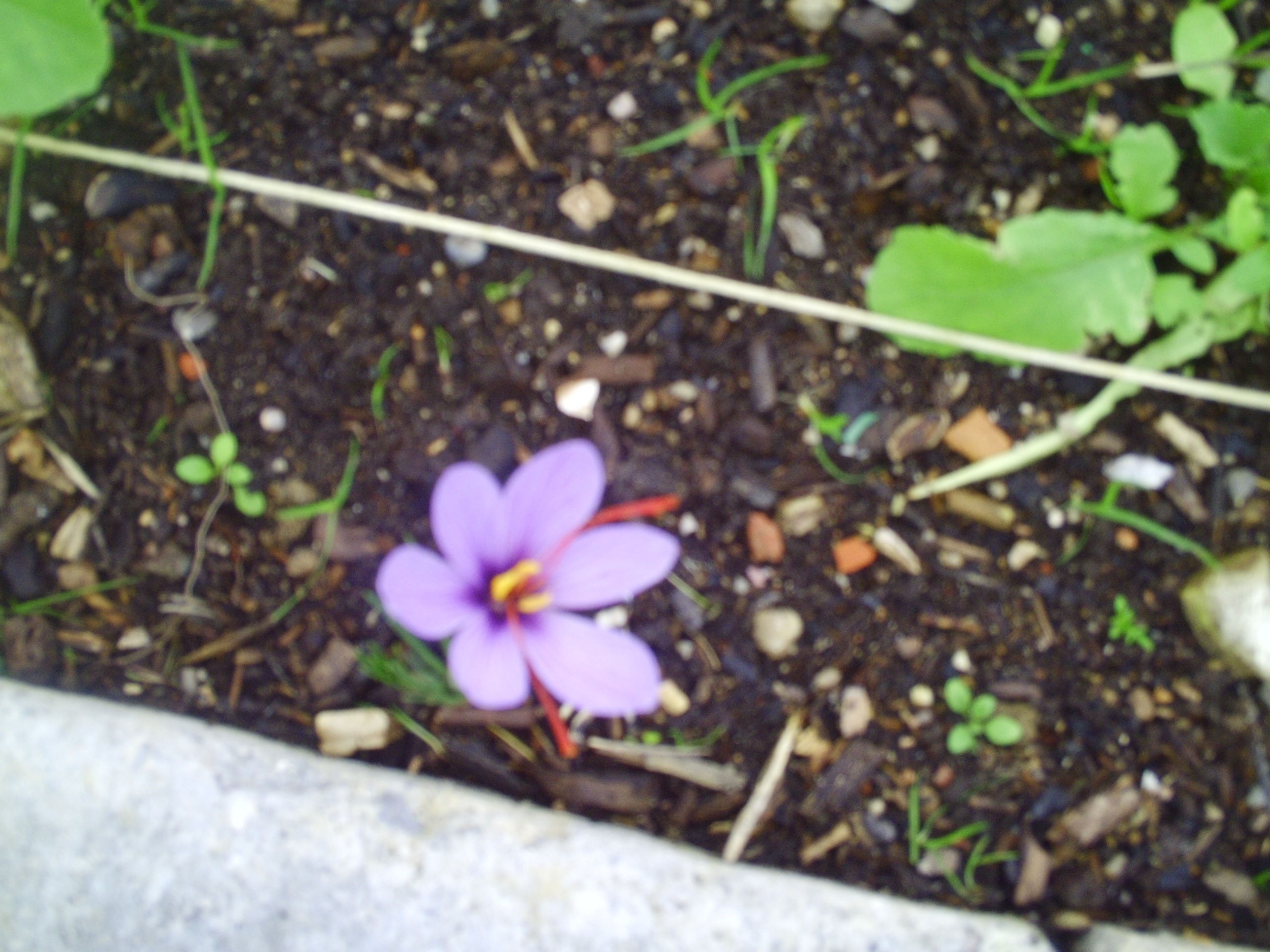 pict0029.JPG