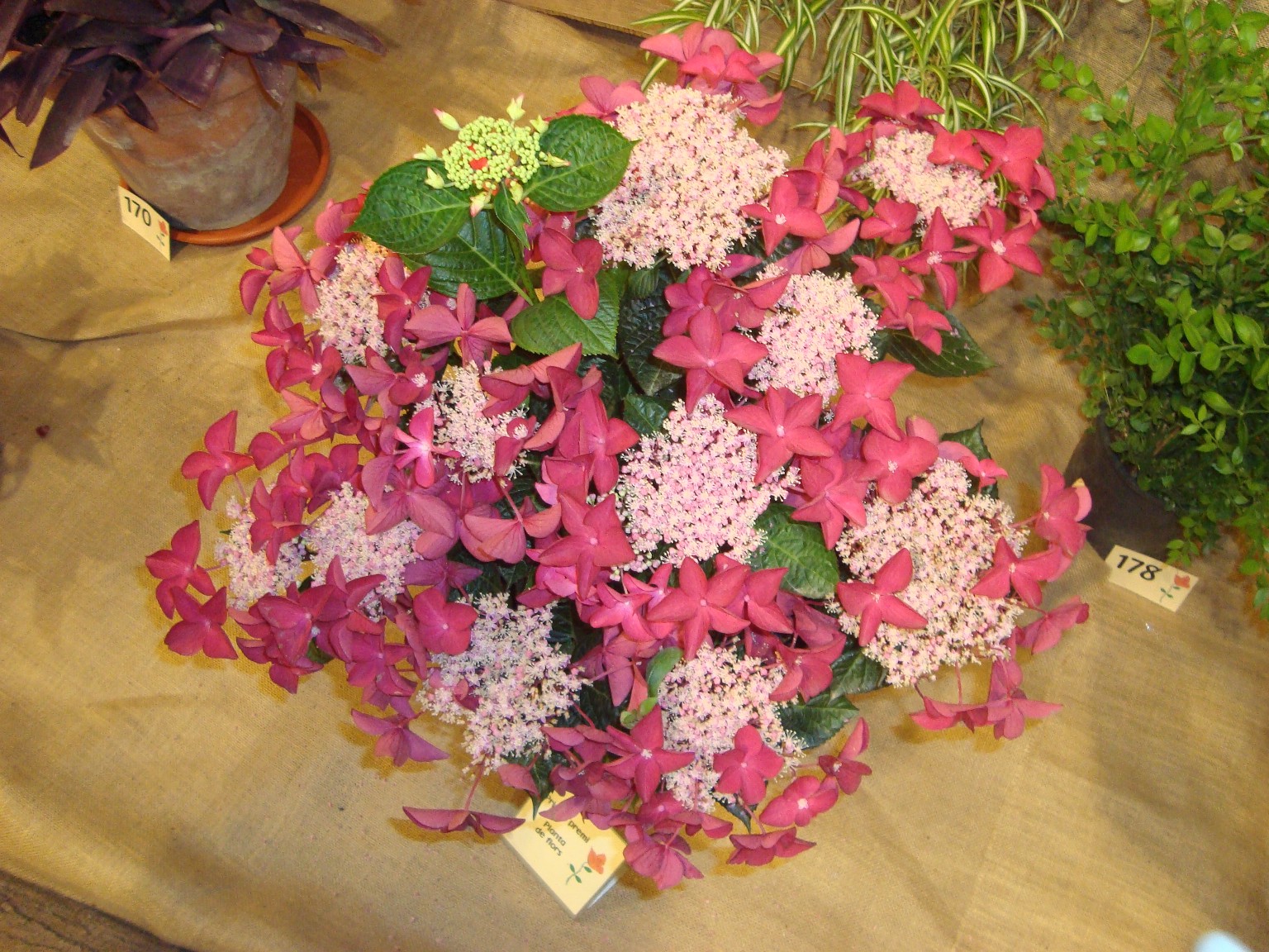 dsc02311.JPG