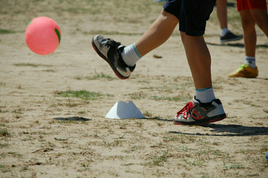 wp-1463594962688 image