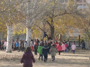 BUSCANT AL TIO (7) (Small)