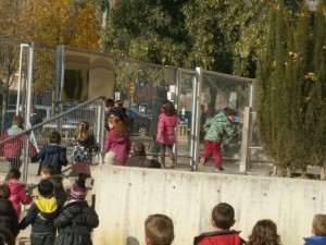 BUSCANT AL TIO (8) (Small)