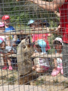 DSCN0941.girada.girada