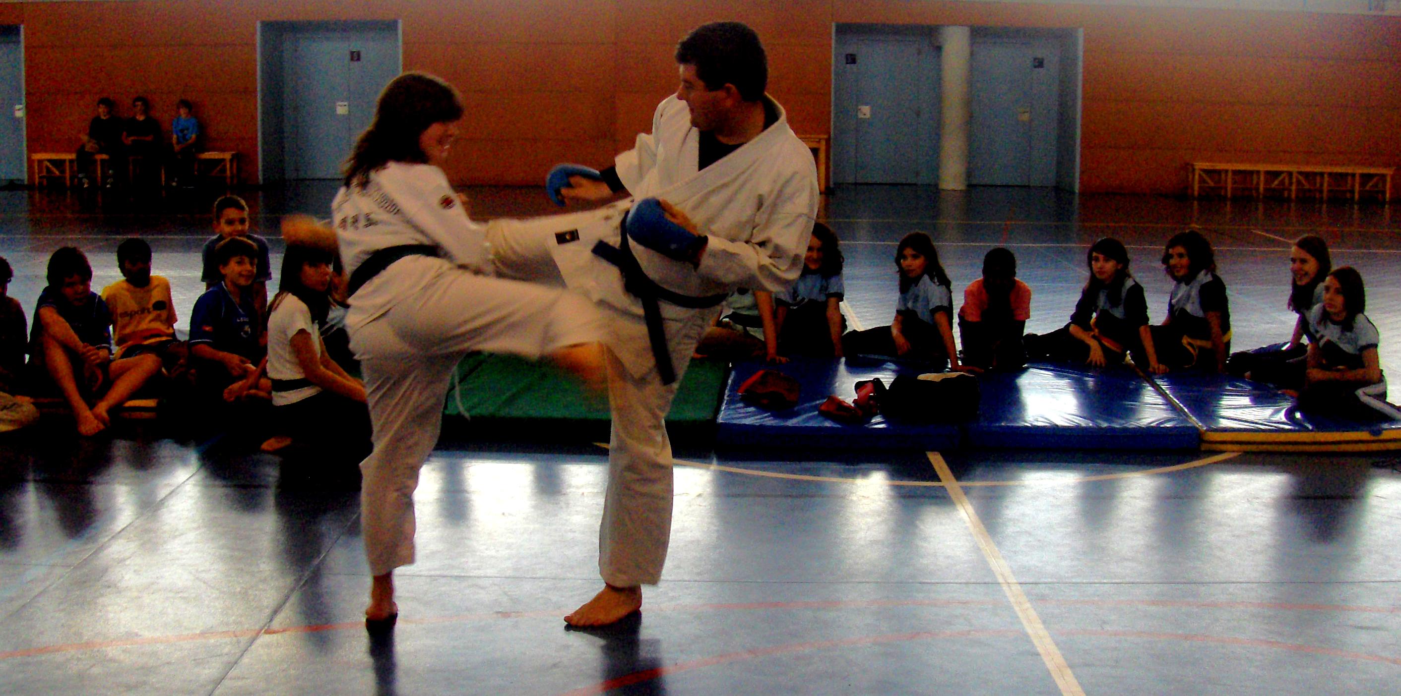 karate-i-taekwondo2.jpg