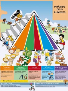piramide aliments