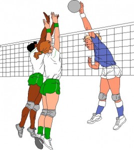 volei2