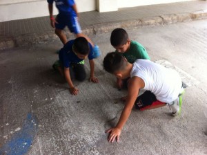 Última importación - 20