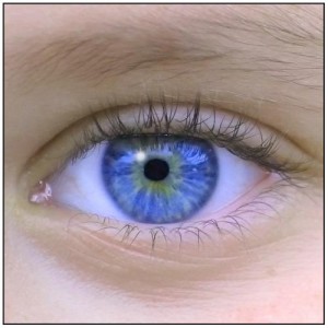 ojo02_miniatura4