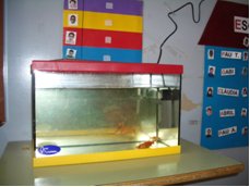 fotos-projecte