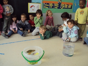 p3-experiment-aigua-11