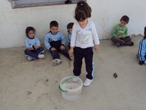 p3-experiment-aigua-142
