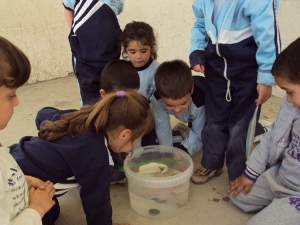 p3-experiment-aigua-18