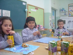 imagen-006