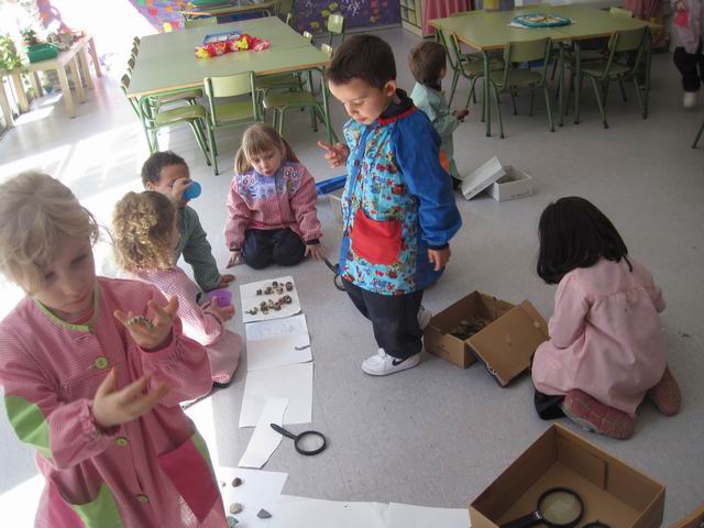 Cambiar tamañoIMG_0820