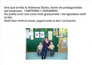26_Nechita