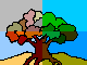 arbres-08