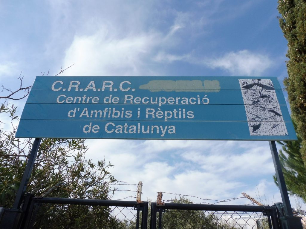 cambiar-tamanop1020387