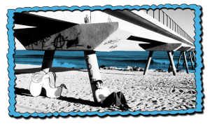 04_fotos_inicio_teatreanimal_com_gat_i_gos-u8561