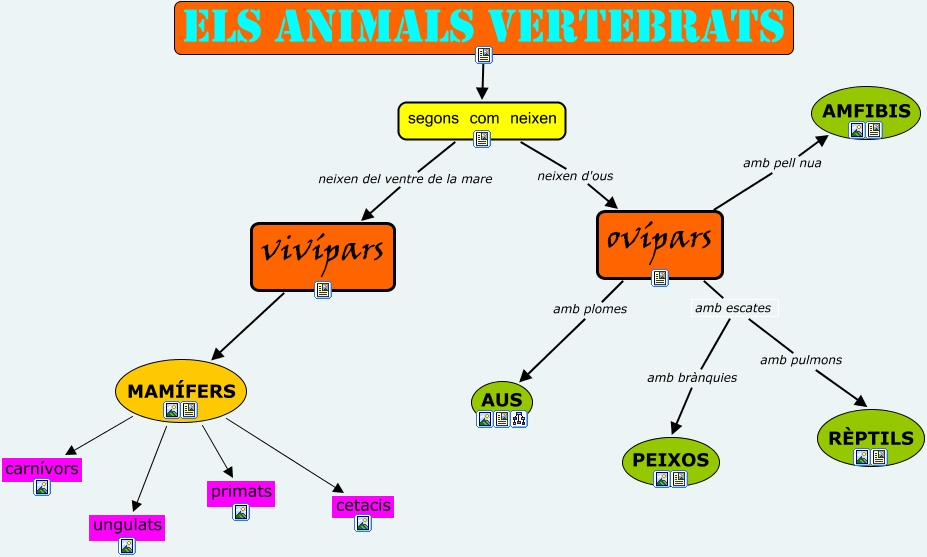 PRESENTACIO ANIMALS VERTEBRATS.cmap
