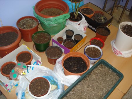 El jardinet de 2nB