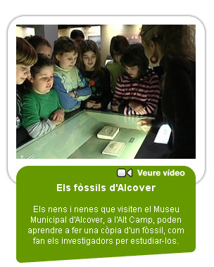fossils.jpg
