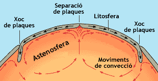 moviments convectius