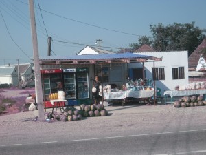 Fruites, com sempre, begudes refrescants del segle XXI