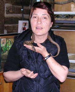 283_colonies-4rt-mas-batllori