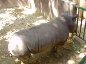 p7280038