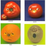 fruitesestats-danim-1