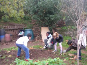 Construïm el nostre hort