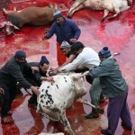 PAKISTAN-RELIGION-EID