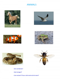 ANIMALS
