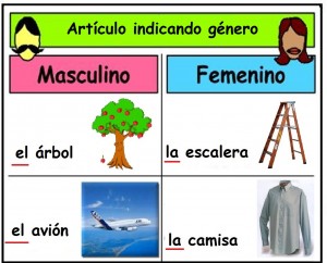 el genero