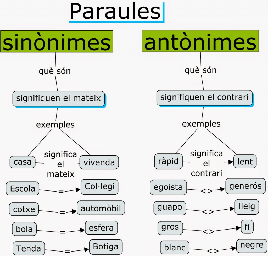 paraules sinònimes i antònimes