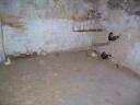 imagen-024_gallines.jpg