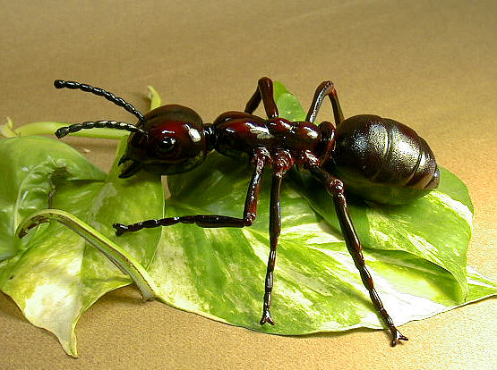Formiga