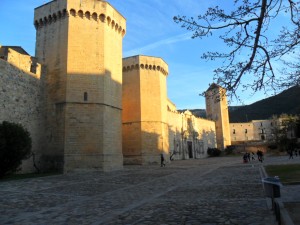 sam_0442
