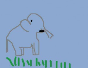 elefant