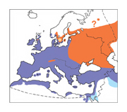 distribucio cadernera