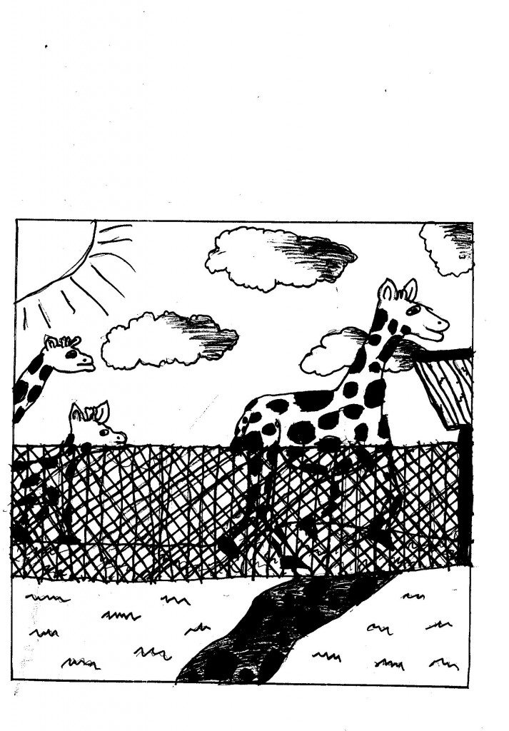 ilc2b7lustracio-zoo-3r-2