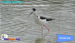 Imagen21